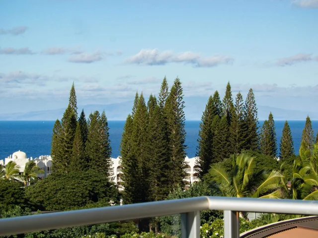 Listing Image for 244 Holomoana Way 101 (17a) 15 of 41