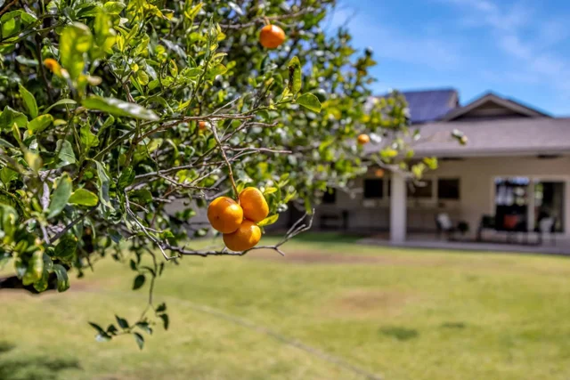 Listing Image for 61 Huluhulu Pl 42 of 50