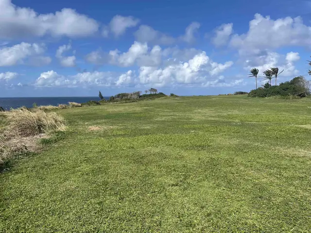 Listing Image for Manawai Pl 3 of 9