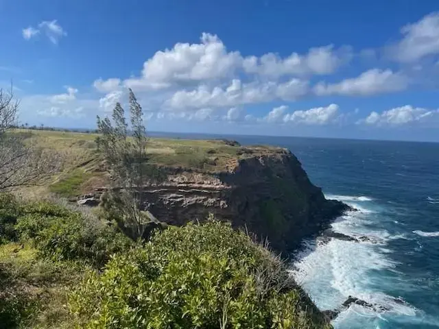 Listing Image for Manawai Pl 4 of 9