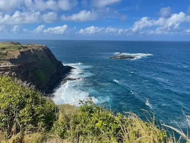 Listing Image for Manawai Pl 6 of 9