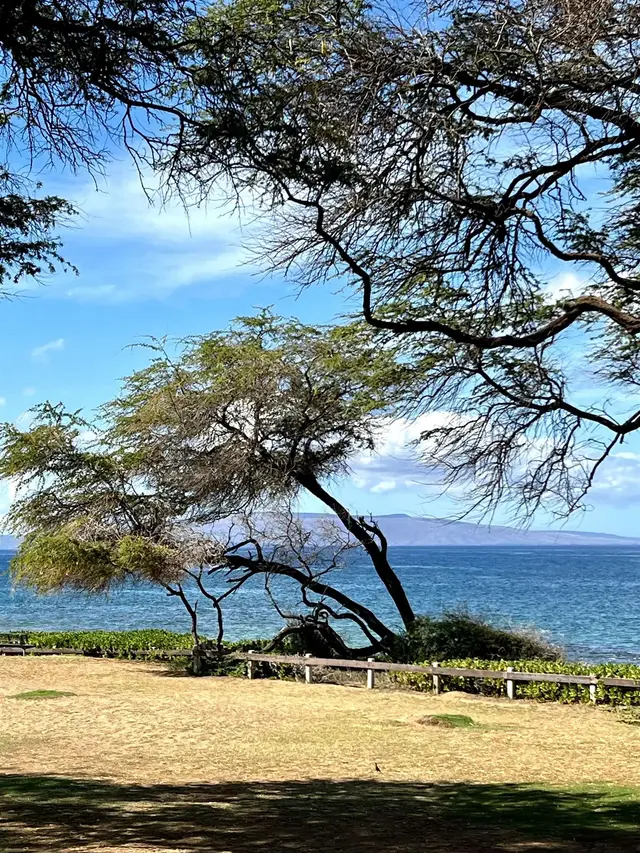 Listing Image for 2747 S Kihei Rd B101 38 of 38