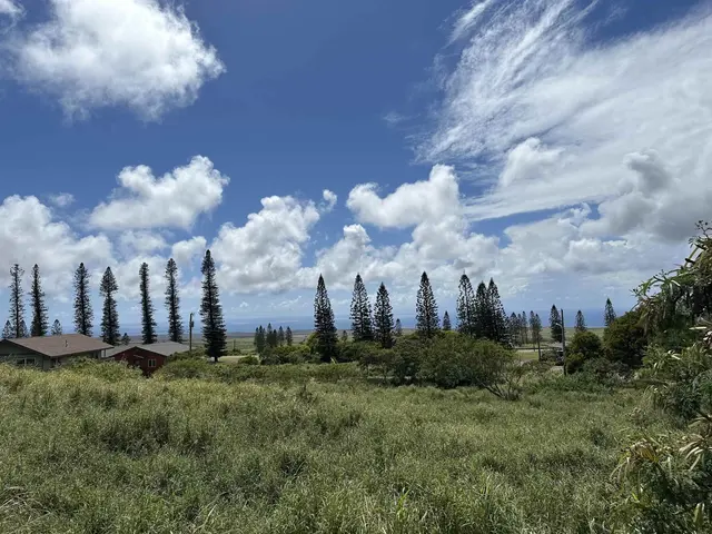 Listing Image for Lot 461 Linohau St 1 of 3