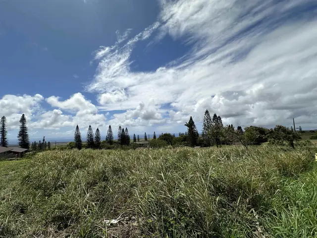Listing Image for Lot 461 Linohau St 2 of 3