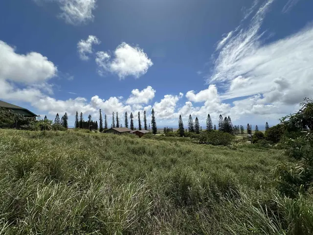 Listing Image for Lot 461 Linohau St 3 of 3