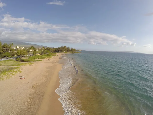 Listing Image for 160 Keonekai Rd 16-104 26 of 26