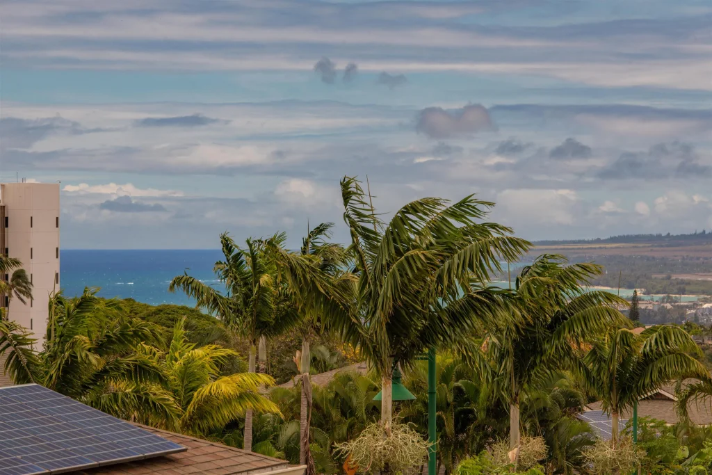 24 Kakawahie St 82, Wailuku