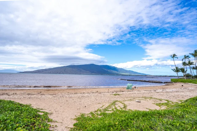 Listing Image for 15 Kulanihakoi St 17h 8 of 30