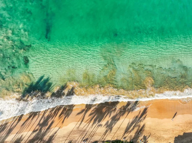 Listing Image for 3076 Manu Hope Pl 41 of 41