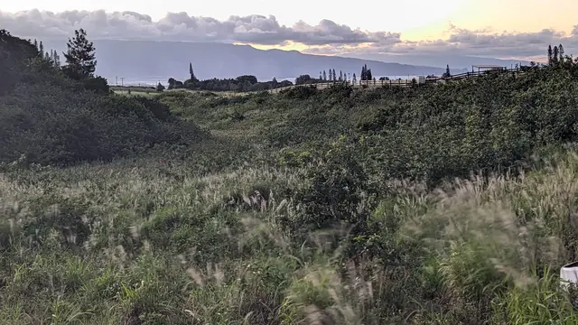 Listing Image for 179 Kaluanui Rd Unit A 38 of 42