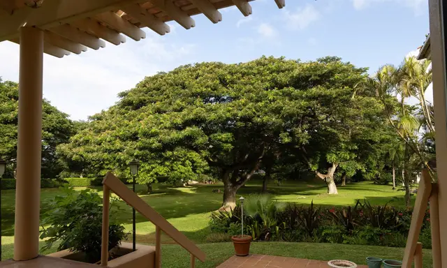 Listing Image for 21 Waikai St 12 of 34