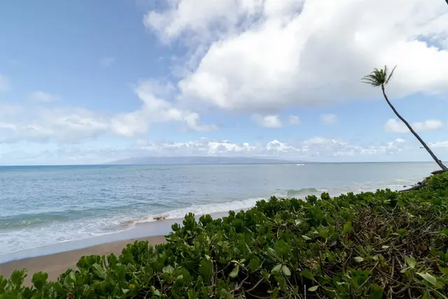 Listing Image for 4365 Lower Honoapiilani Rd 404 17 of 22