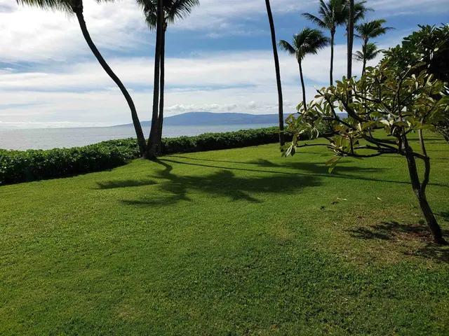 Listing Image for 7142 Kamehameha V Hwy A101 2 of 21