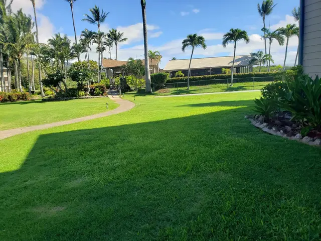 Listing Image for 7142 Kamehameha V Hwy A101 20 of 21