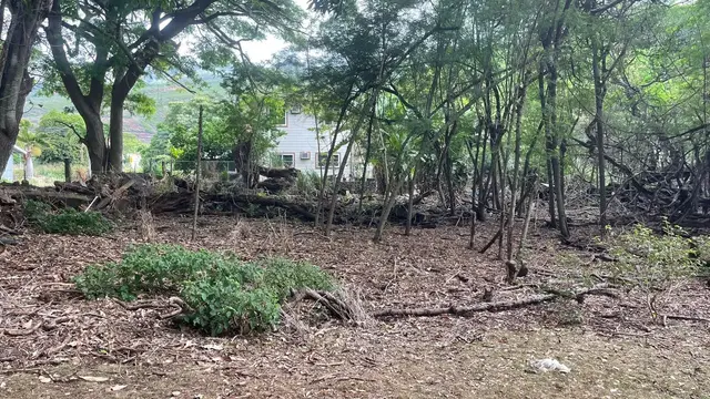 Listing Image for 0 Ululani St 1 of 12