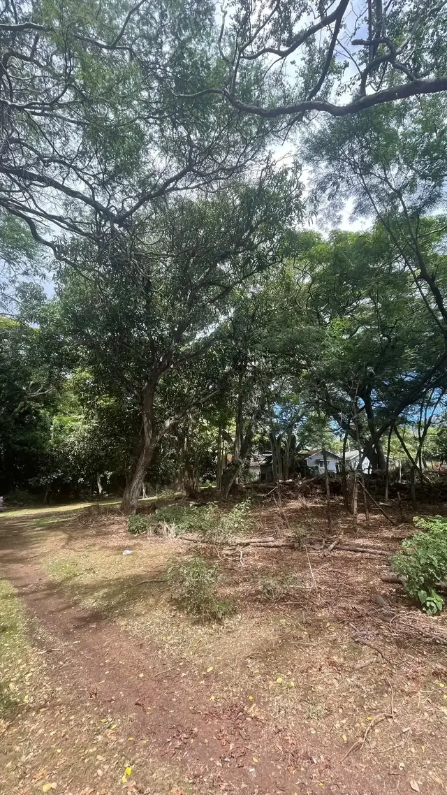 Listing Image for 0 Ululani St 11 of 12