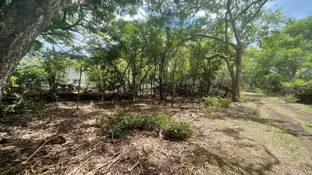 Listing Image for 0 Ululani St 12 of 12