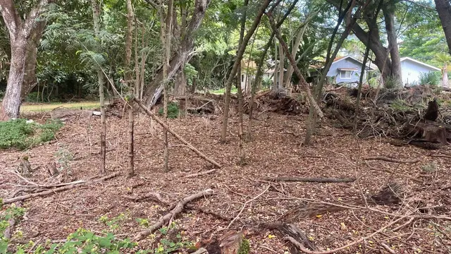 Listing Image for 0 Ululani St 7 of 12