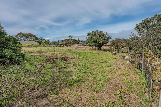 Listing Image for 443 Makawao Ave 13 of 22