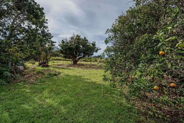Listing Image for 443 Makawao Ave 16 of 22