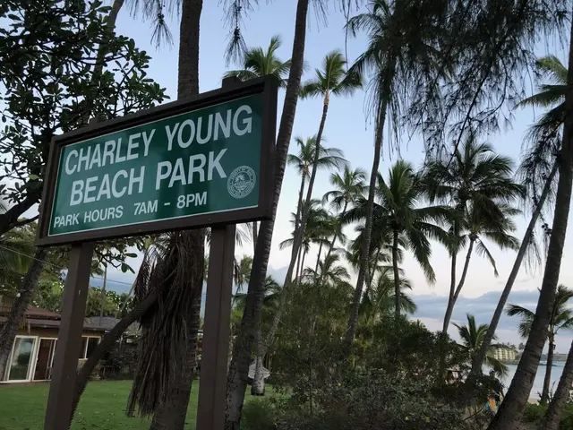 Listing Image for 2191 S Kihei Rd 2216 25 of 38