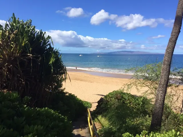 Listing Image for 2191 S Kihei Rd 2216 26 of 38