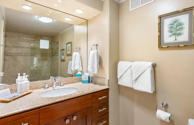 Listing Image for 50 Nohea Kai Dr 3-102 21 of 43