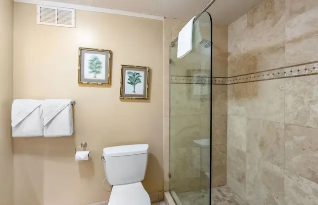 Listing Image for 50 Nohea Kai Dr 3-102 22 of 43