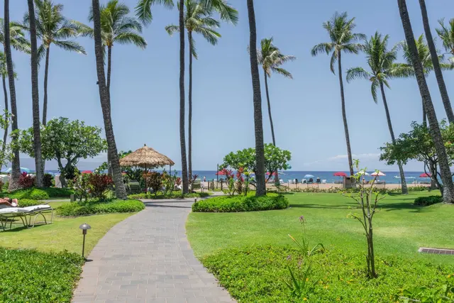 Listing Image for 50 Nohea Kai Dr 3-102 43 of 43