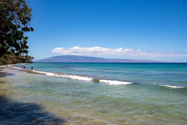 Listing Image for 3695 Lower Honoapiilani Rd 102 14 of 31