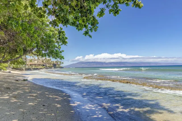 Listing Image for 3695 Lower Honoapiilani Rd 102 31 of 31