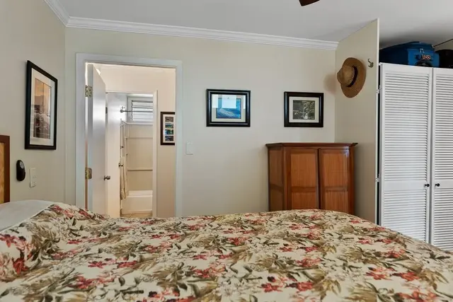 Listing Image for 35 Walaka St P311 19 of 38