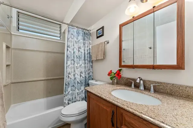 Listing Image for 35 Walaka St P311 20 of 38