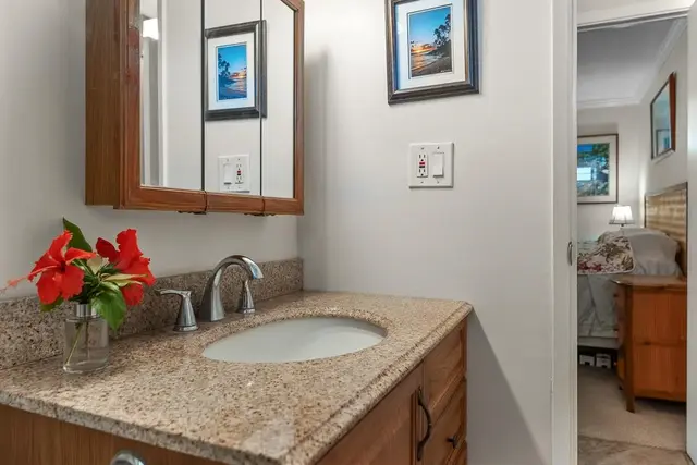 Listing Image for 35 Walaka St P311 23 of 38