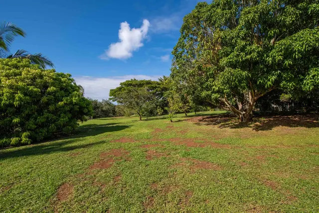 Listing Image for 52 Papio Way Unit A 42 of 50