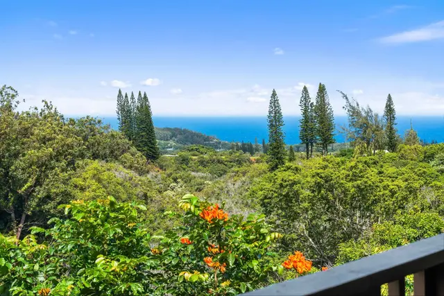 Listing Image for 1330 Kauhikoa Rd 2 of 47