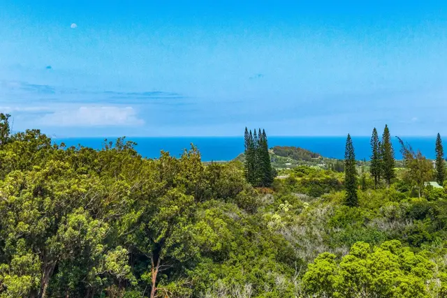 Listing Image for 1330 Kauhikoa Rd 42 of 47