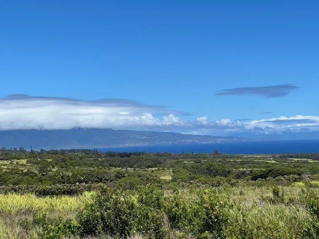 Listing Image for 0 Lower Ulumalu Rd 10 of 20