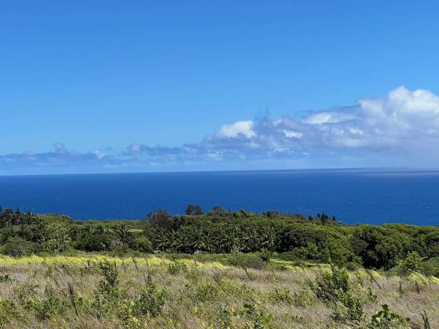 Listing Image for 0 Lower Ulumalu Rd 11 of 20