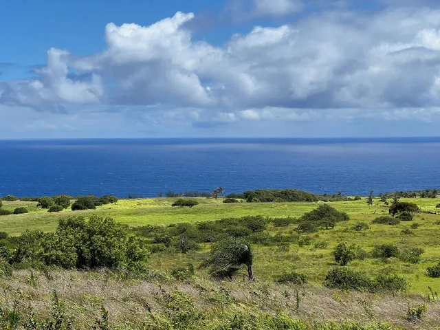 Listing Image for 0 Lower Ulumalu Rd 12 of 20