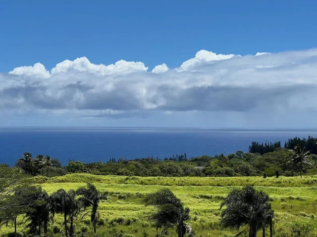 Listing Image for 0 Lower Ulumalu Rd 13 of 20