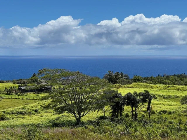 Listing Image for 0 Lower Ulumalu Rd 14 of 20