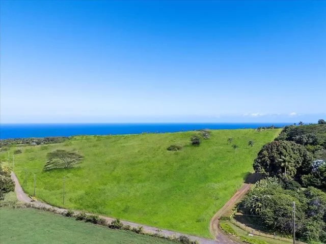 Listing Image for 0 Lower Ulumalu Rd 18 of 20