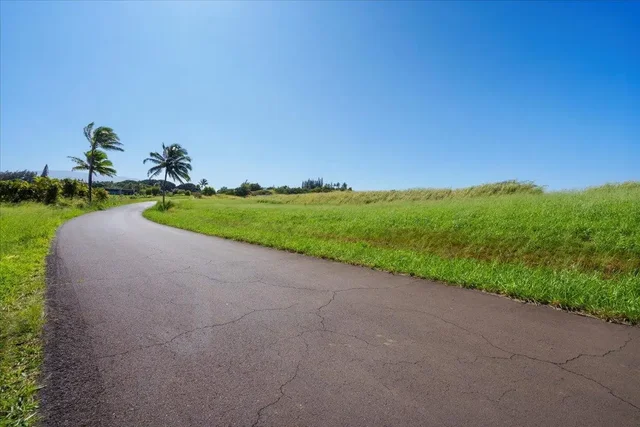 Listing Image for 0 Lower Ulumalu Rd 4 of 20