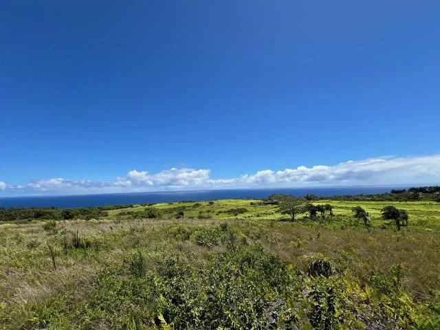 Listing Image for 0 Lower Ulumalu Rd 6 of 20