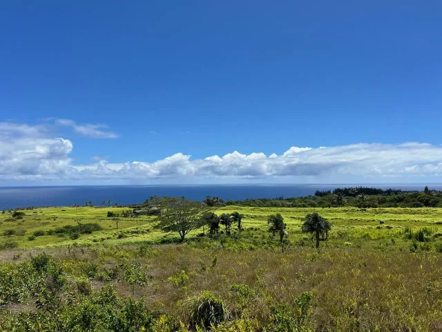 Listing Image for 0 Lower Ulumalu Rd 8 of 20