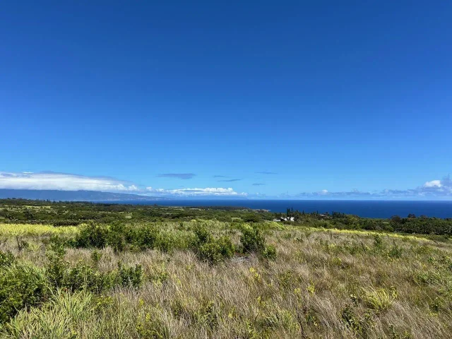 Listing Image for 0 Lower Ulumalu Rd 9 of 20