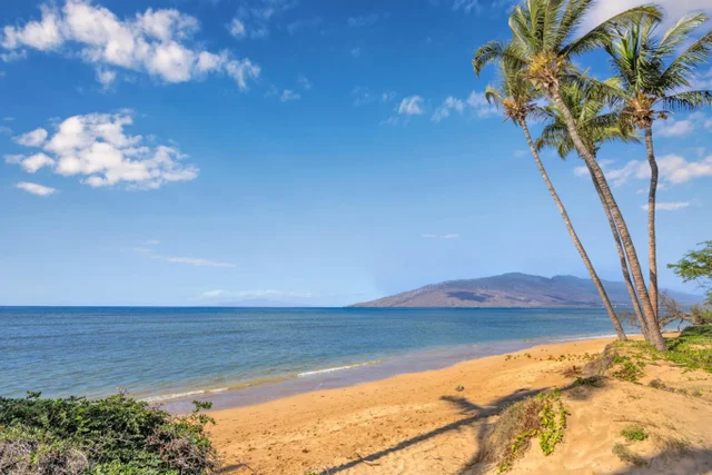 Listing Image for 1450 S Kihei Rd C206 40 of 50