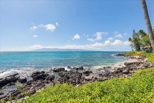 Listing Image for 3959 Lower Honoapillani Rd 709 28 of 34