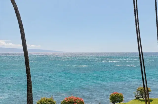 Listing Image for 3959 Lower Honoapillani Rd 709 33 of 34